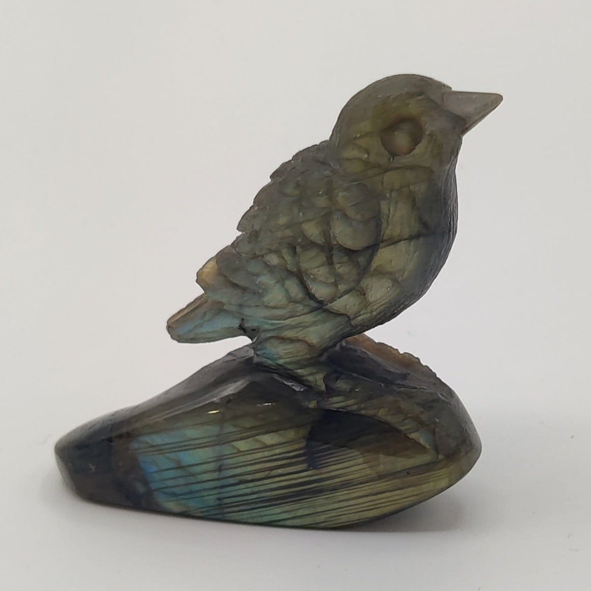 Pajarito de Labradorita