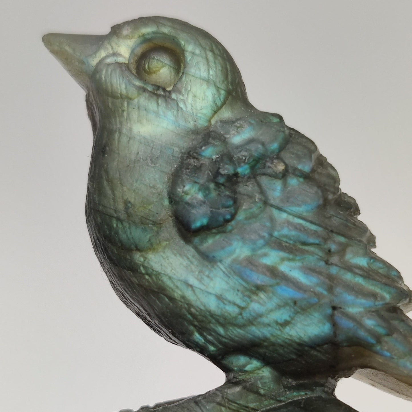 Pajarito de Labradorita