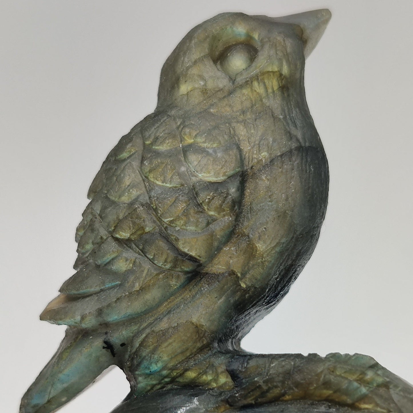 Pajarito de Labradorita