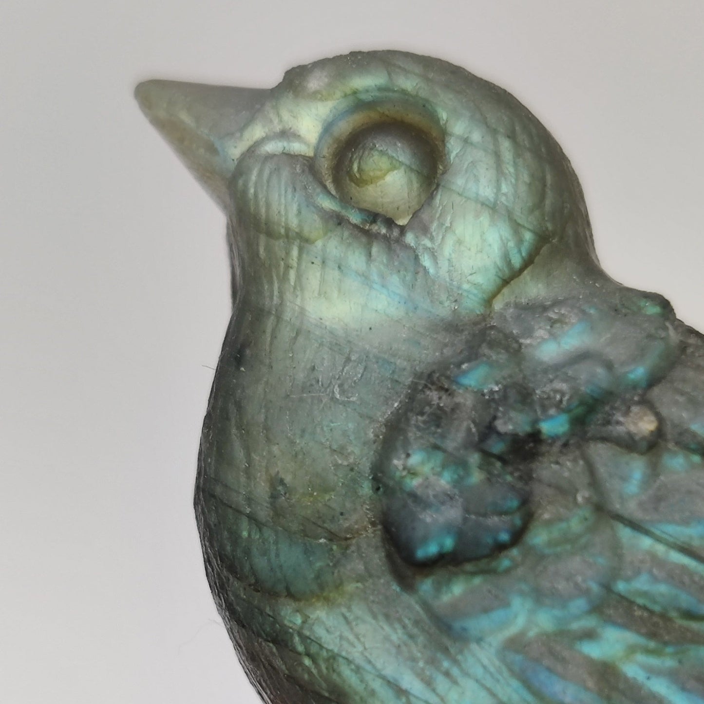 Pajarito de Labradorita