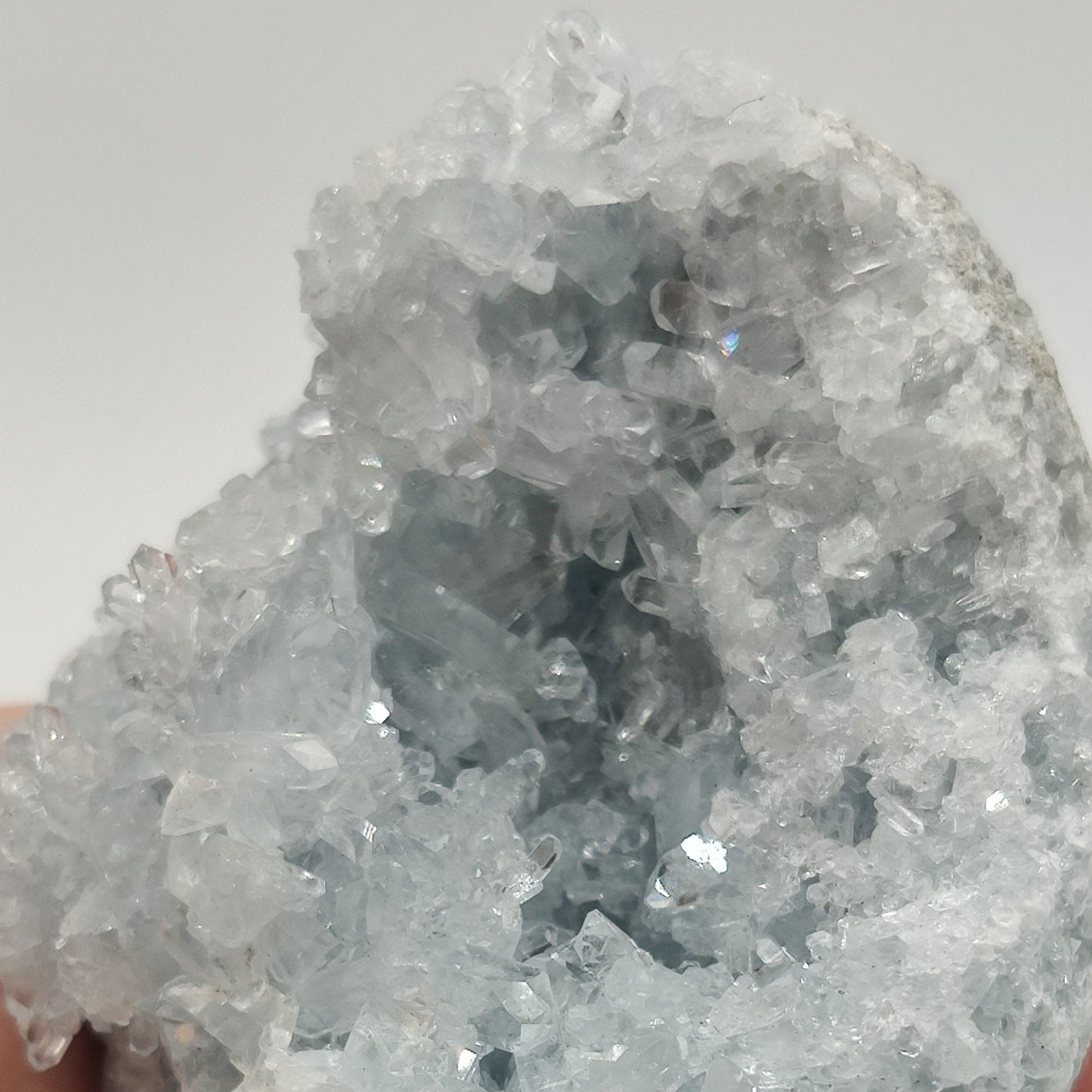 Celestina