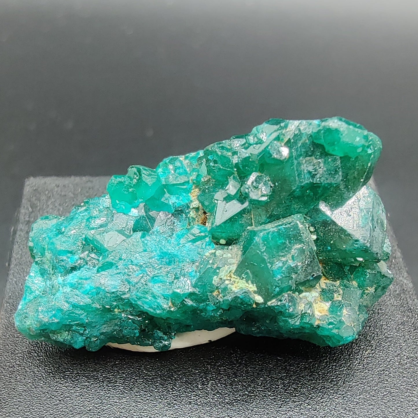 Dioptasa