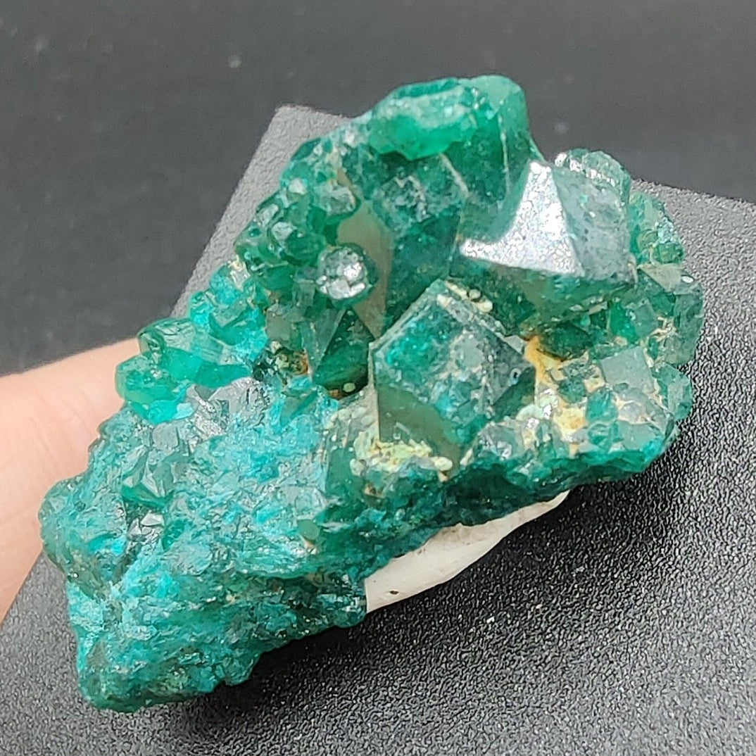 Dioptasa