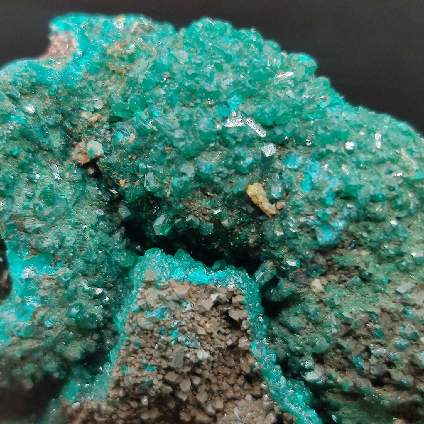 Dioptasa