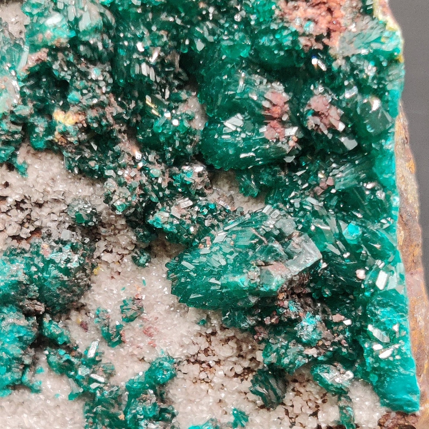 Dioptasa