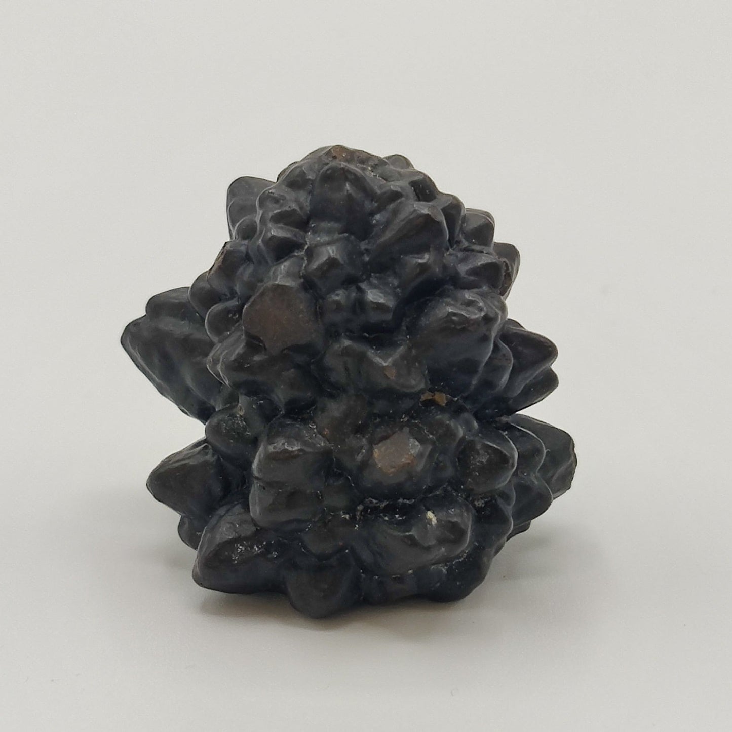 Goethita pseudomórfica de marcasita. "Prophecy stone"
