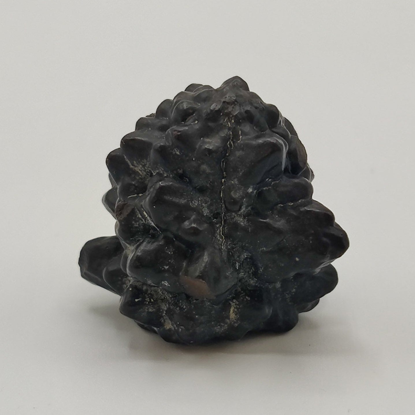 Goethita pseudomórfica de marcasita. "Prophecy stone"