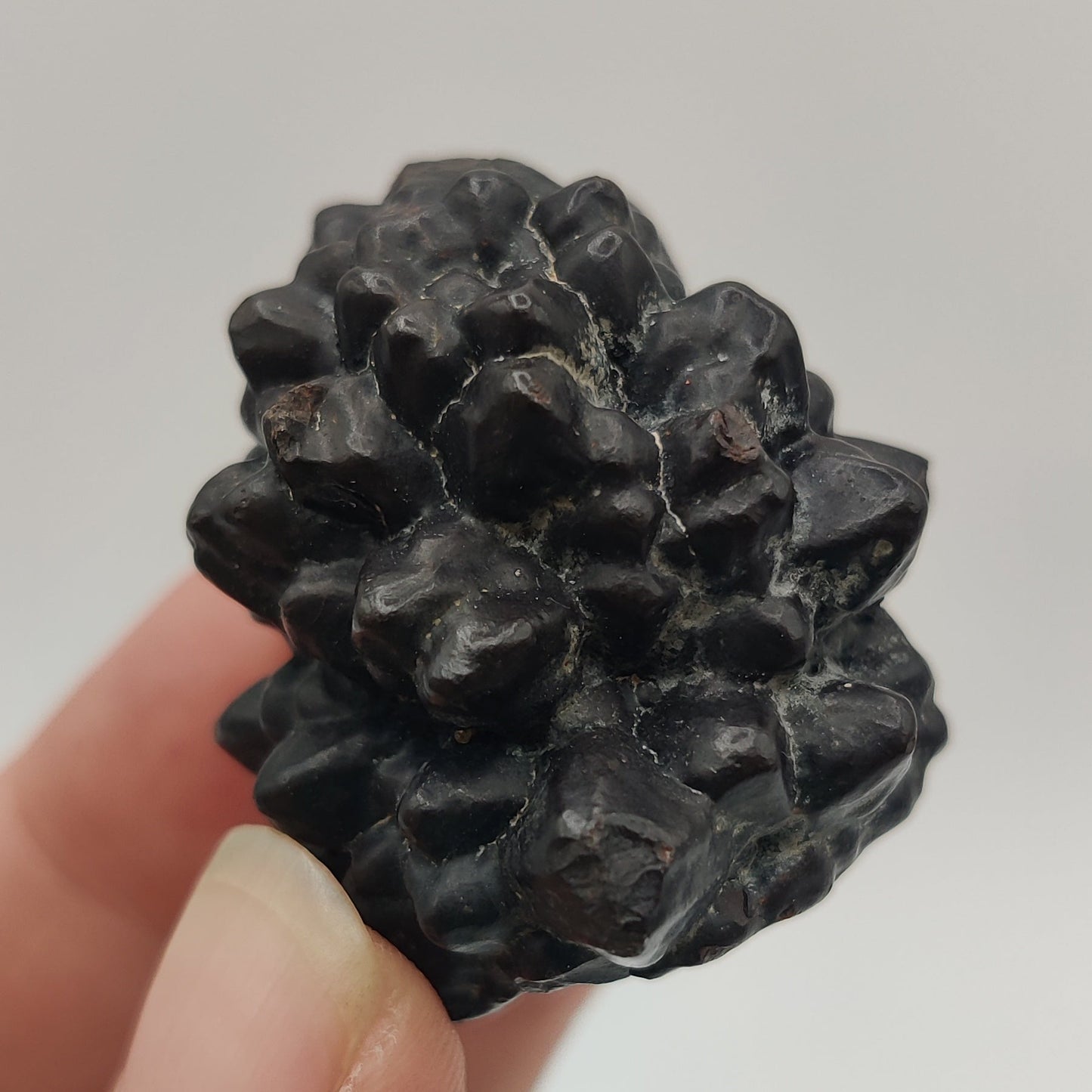 Goethita pseudomórfica de marcasita. "Prophecy stone"