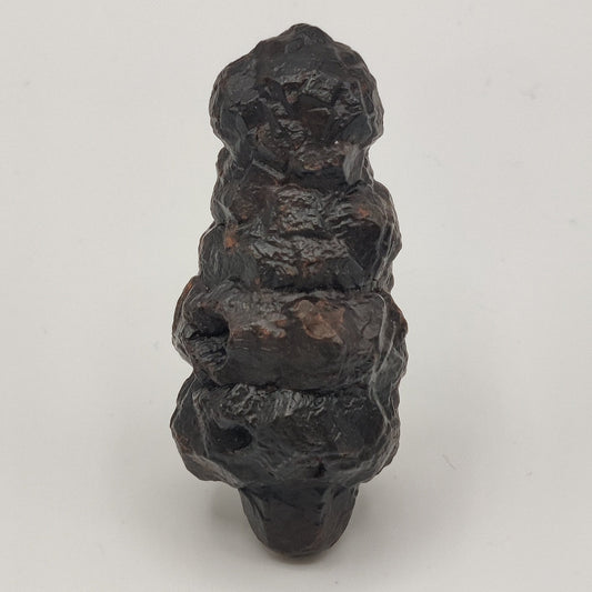 Goethita pseudomórfica de marcasita. "Piedra profecía"