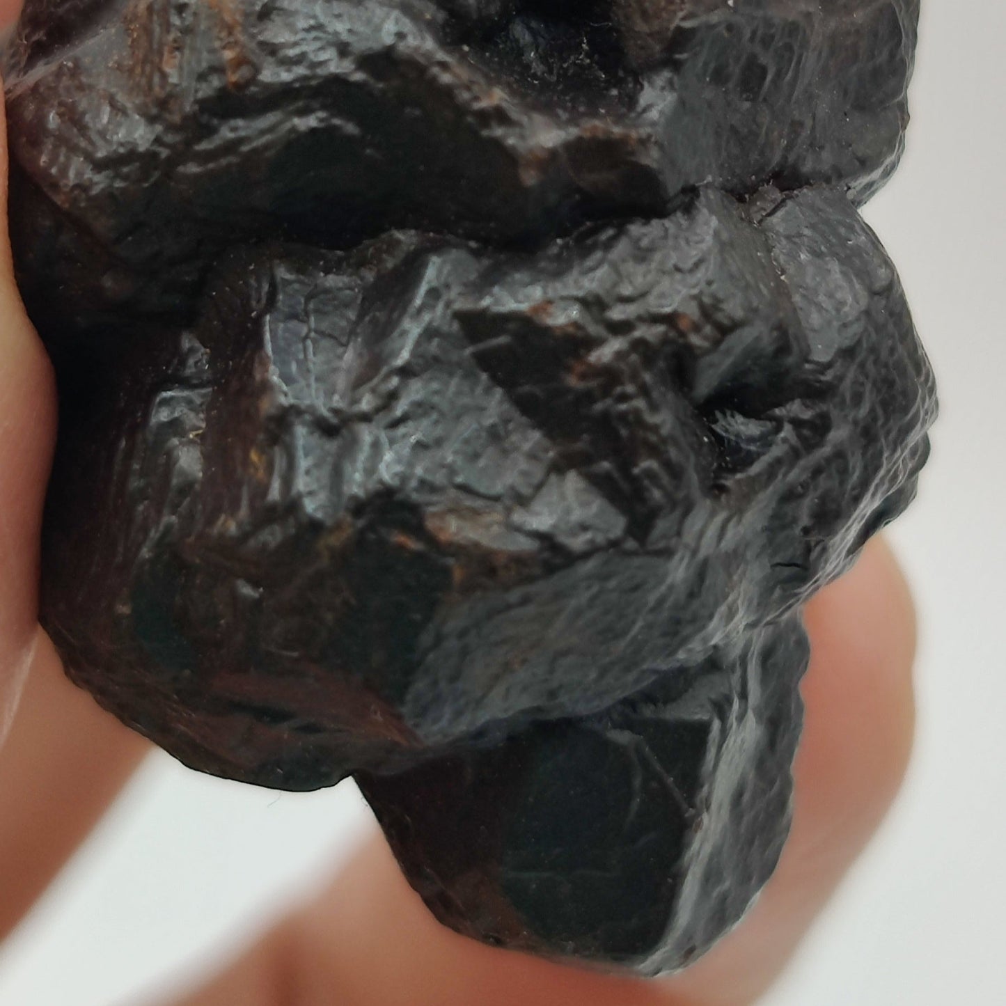 Goethita pseudomórfica de marcasita. "Prophecy stone"