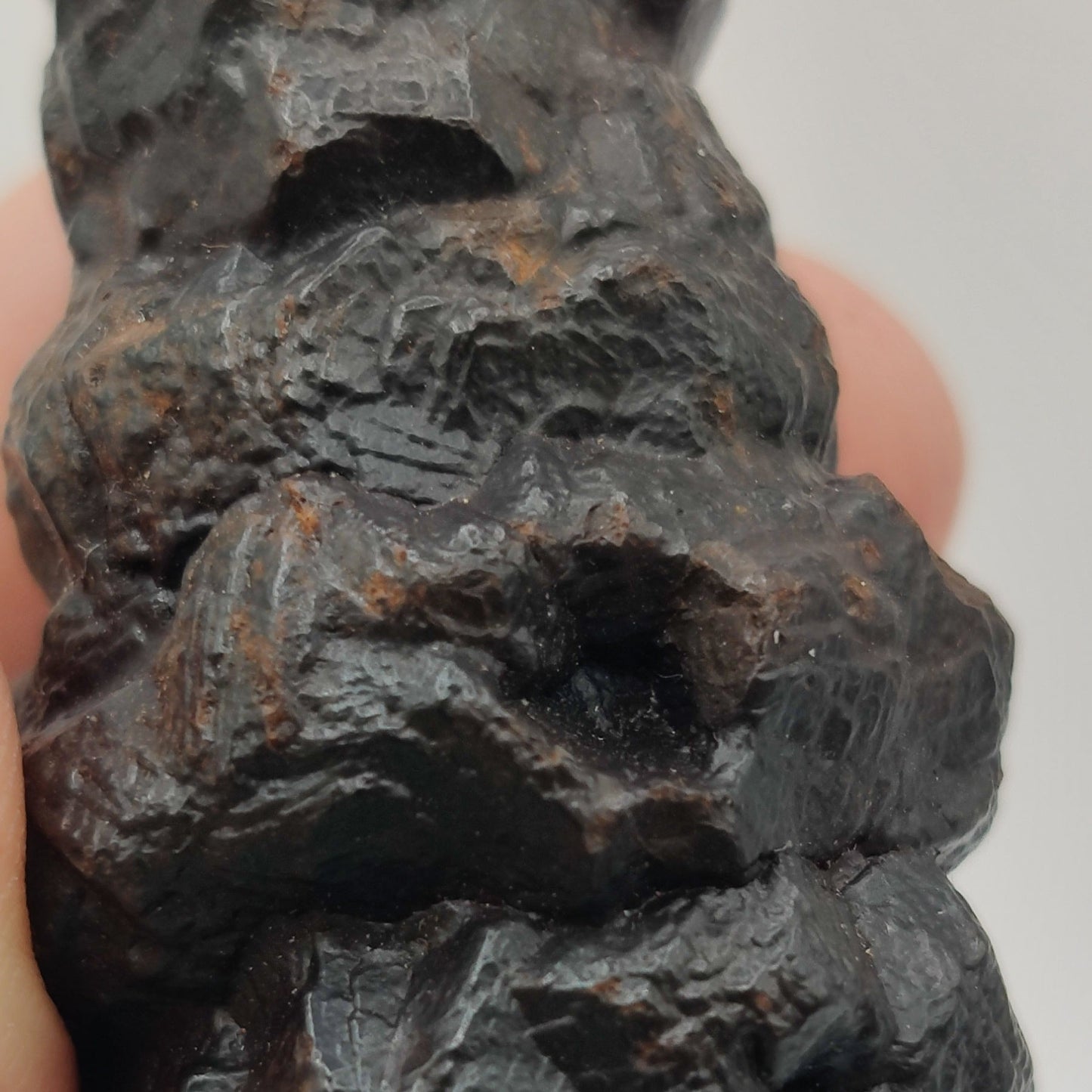 Goethita pseudomórfica de marcasita. "Prophecy stone"