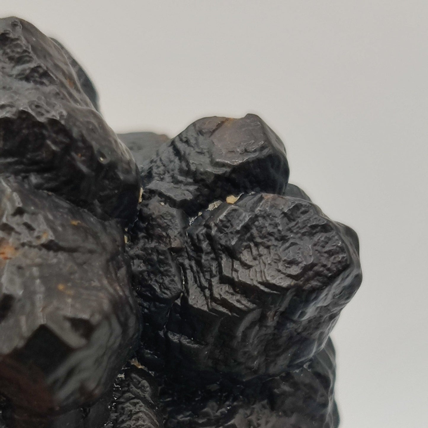 Goethita pseudomórfica de marcasita. "Prophecy stone"