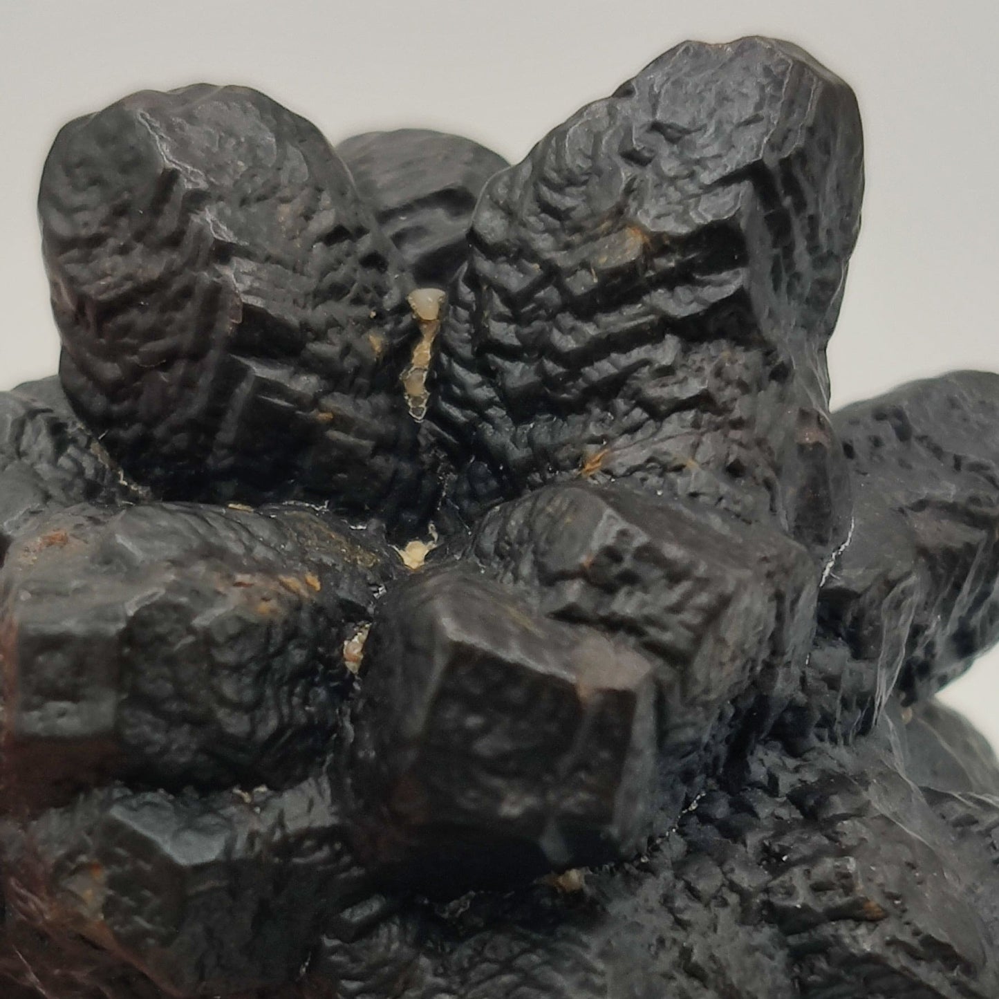 Goethita pseudomórfica de marcasita. "Prophecy stone"