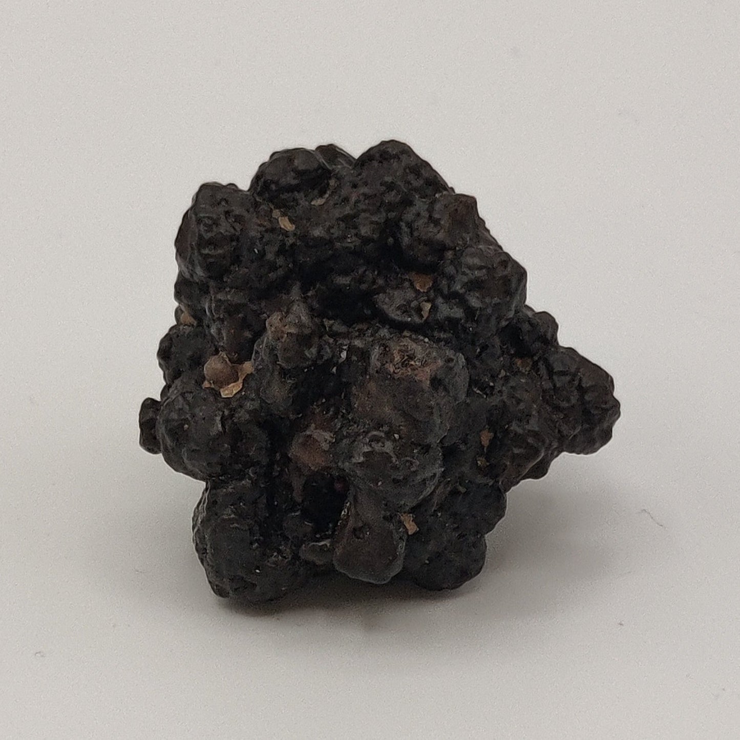 Goethita pseudomórfica de marcasita. "Prophecy stone"