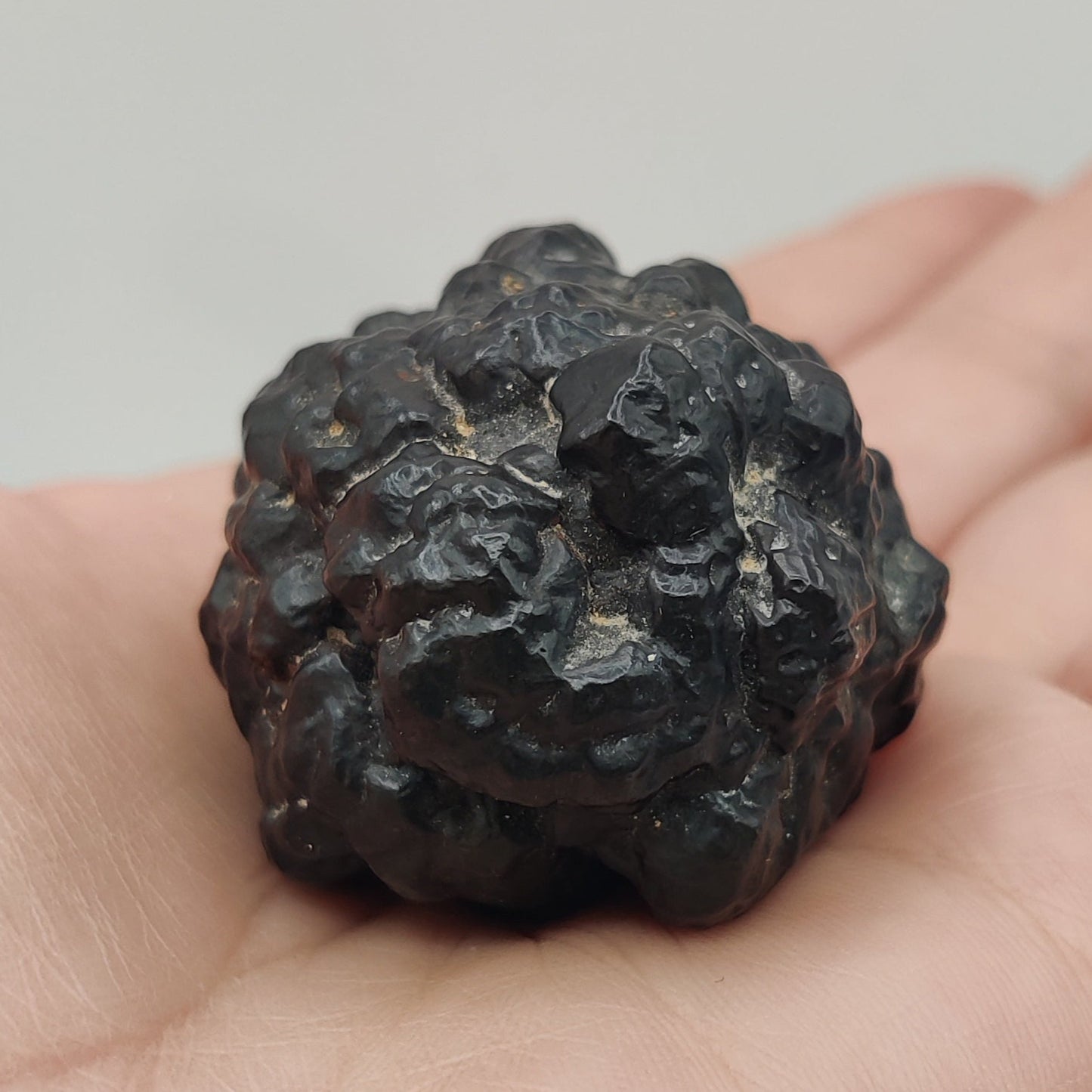 Goethita pseudomórfica de marcasita. "Prophecy stone"