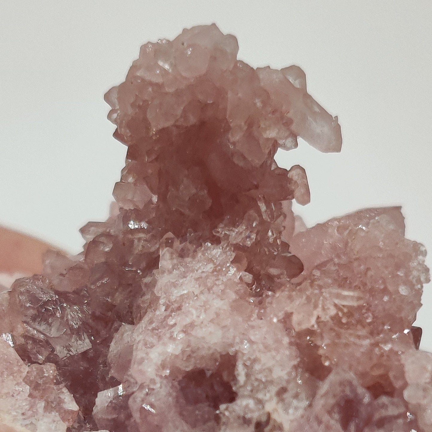 Drusa de amatista rosa