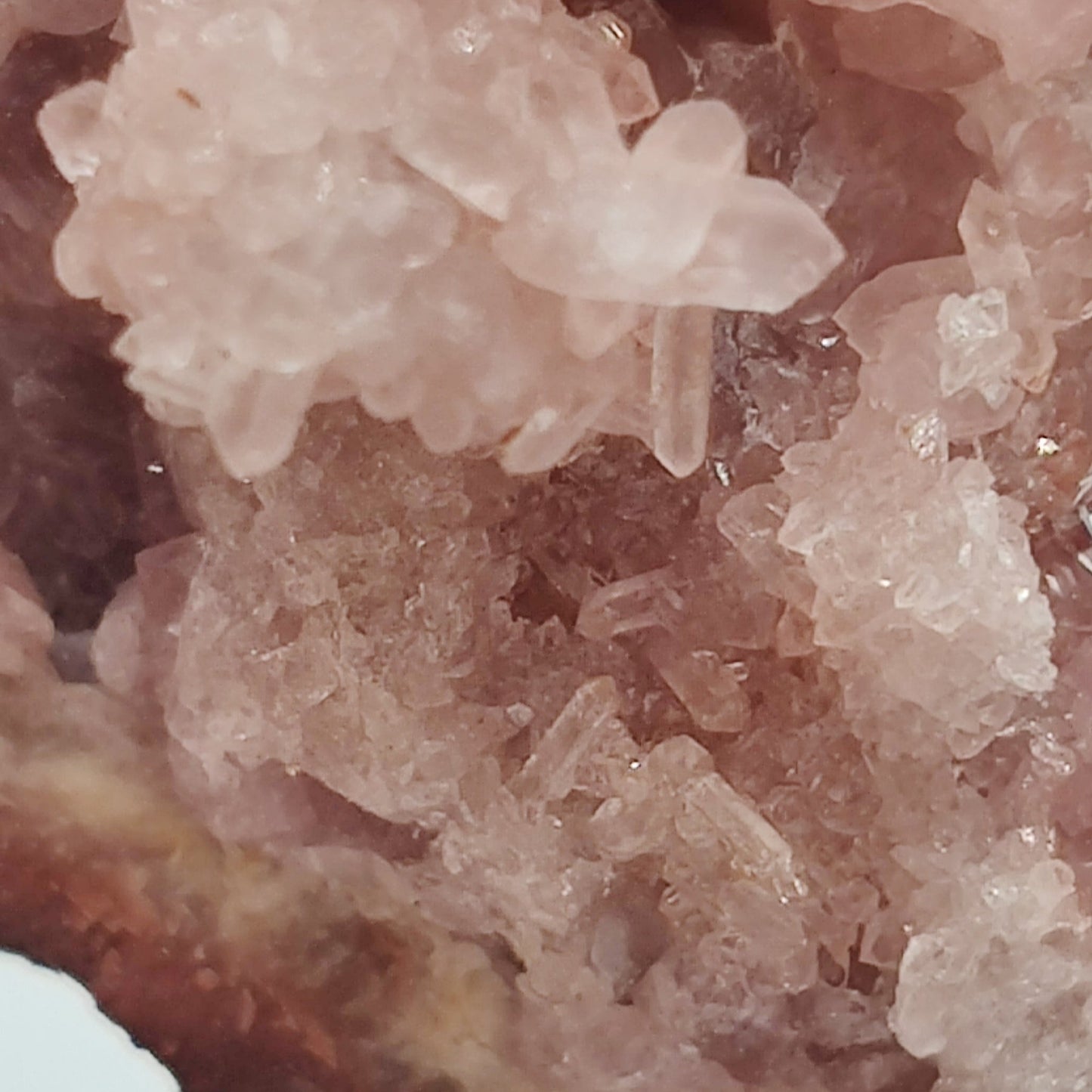 Drusa de amatista rosa