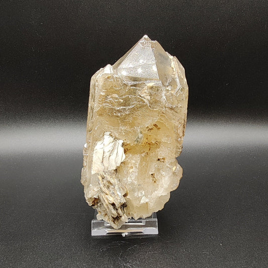Cuarzo yacaré elestial citrino ahumado