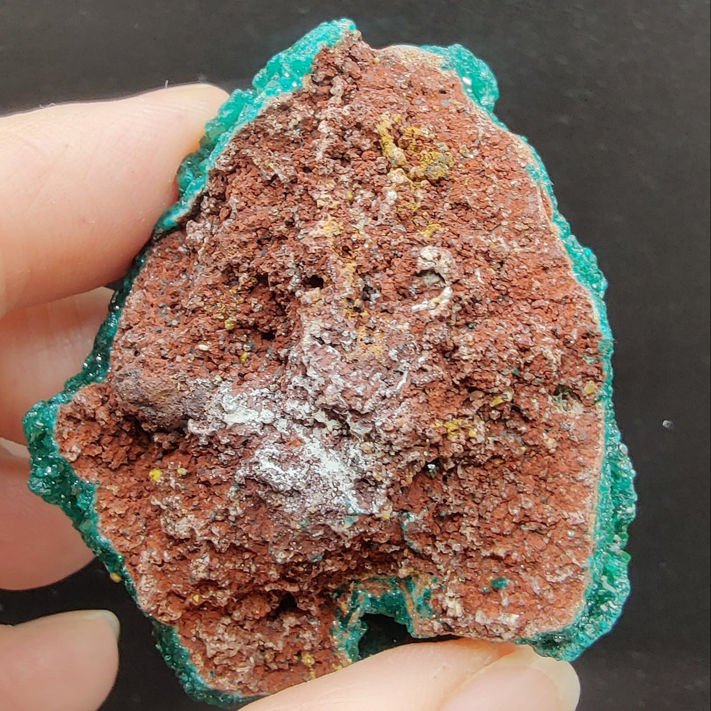 Dioptasa