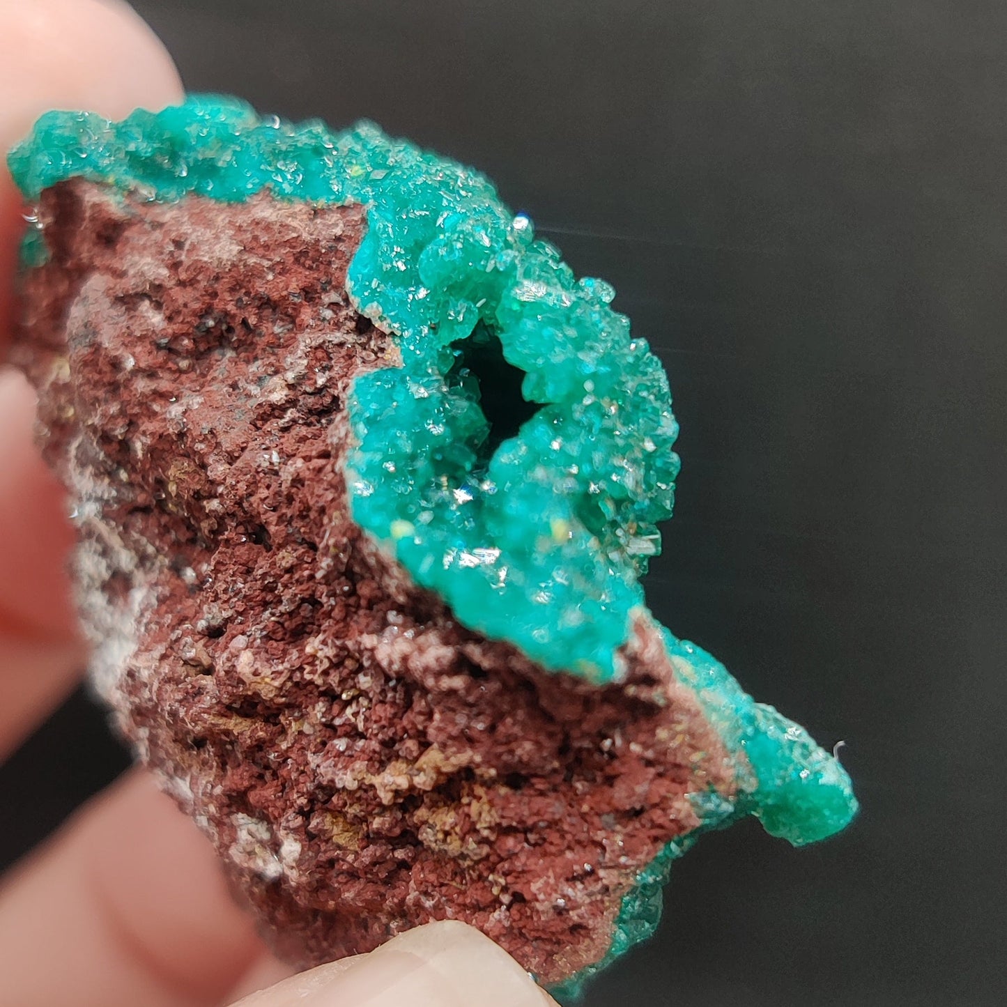 Dioptasa