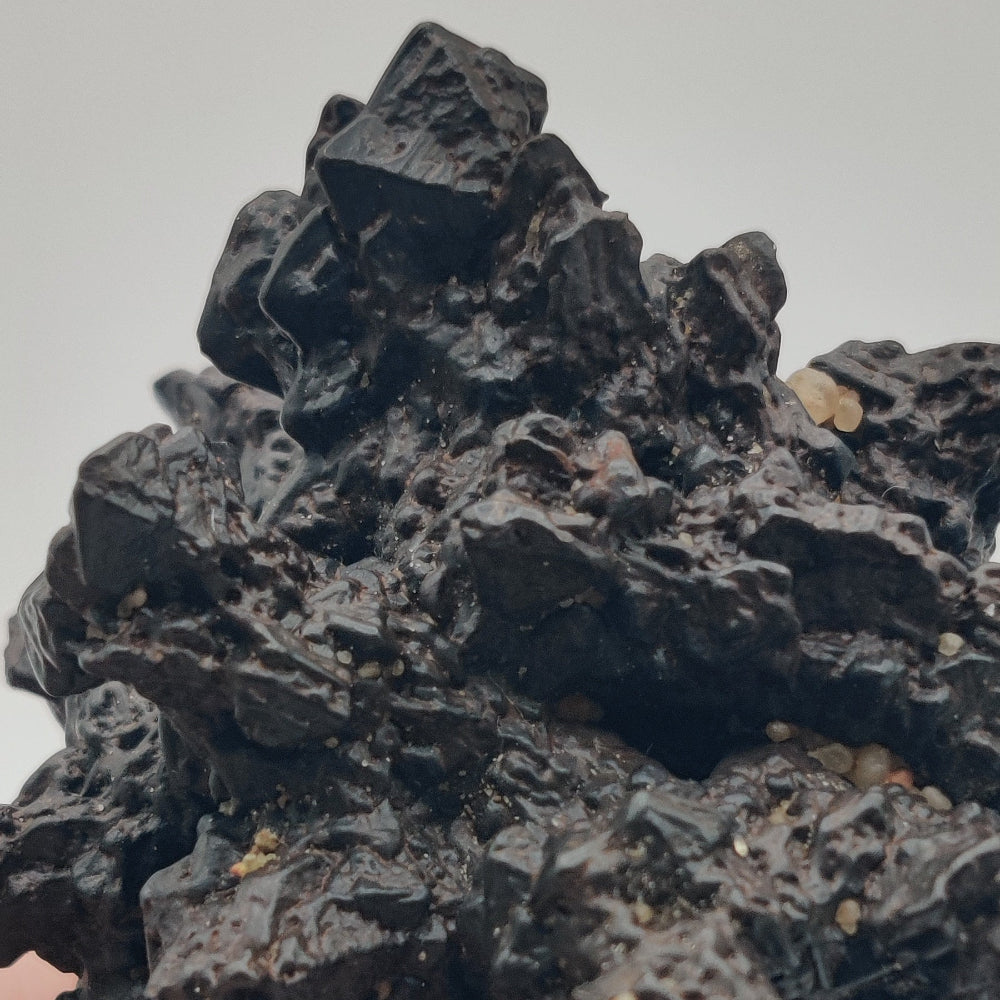 Goethita pseudomórfica de marcasita. "Piedra profecía"