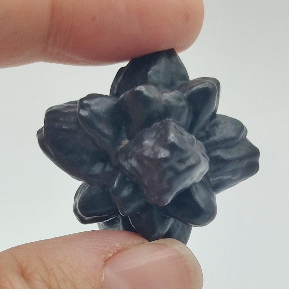Goethita pseudomórfica de marcasita. "Piedra profecía"
