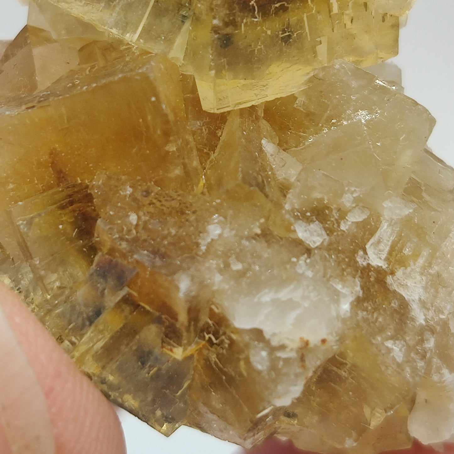 Fluorita