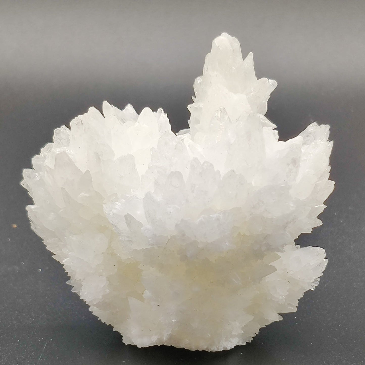 Aragonito coraloide. "Cave calcite"
