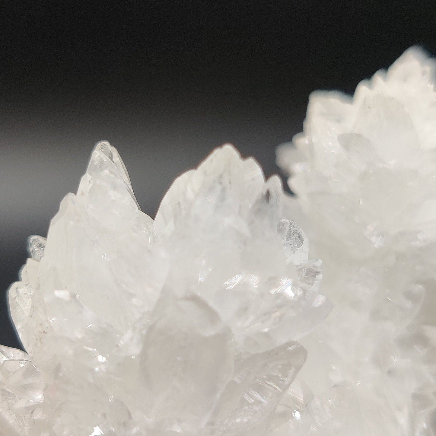 Aragonito coraloide. "Cave calcite".