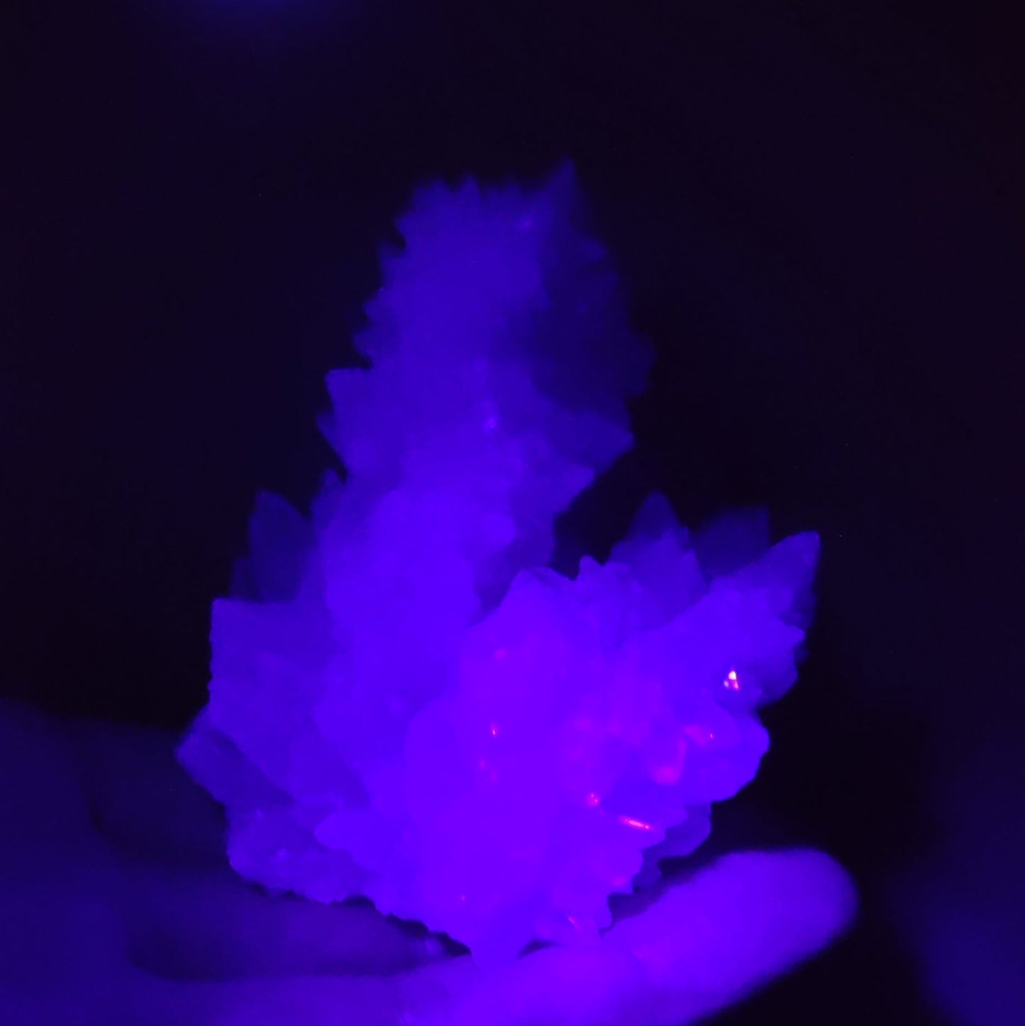 Aragonito coraloide. "Cave calcite".