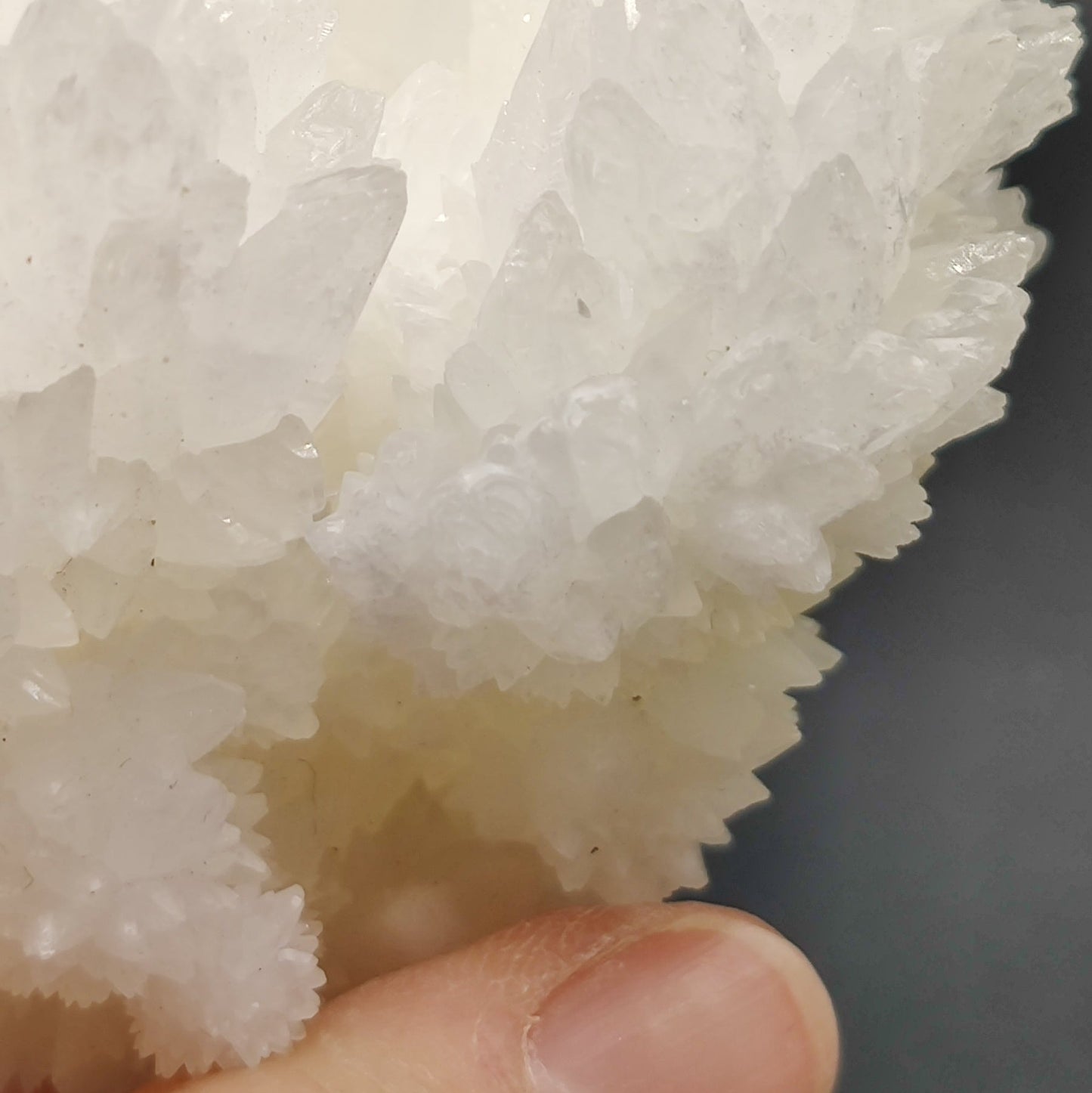 Aragonito coraloide. "Cave calcite"