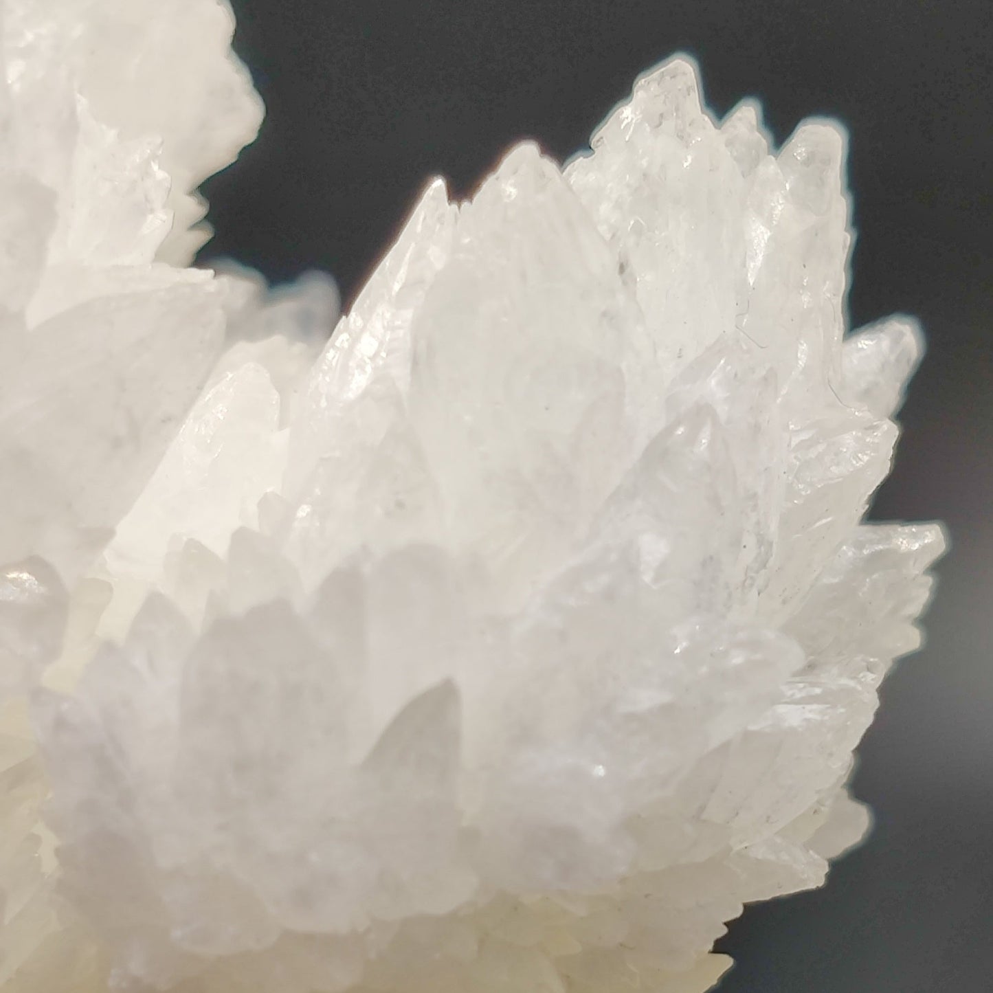 Aragonito coraloide. "Cave calcite"