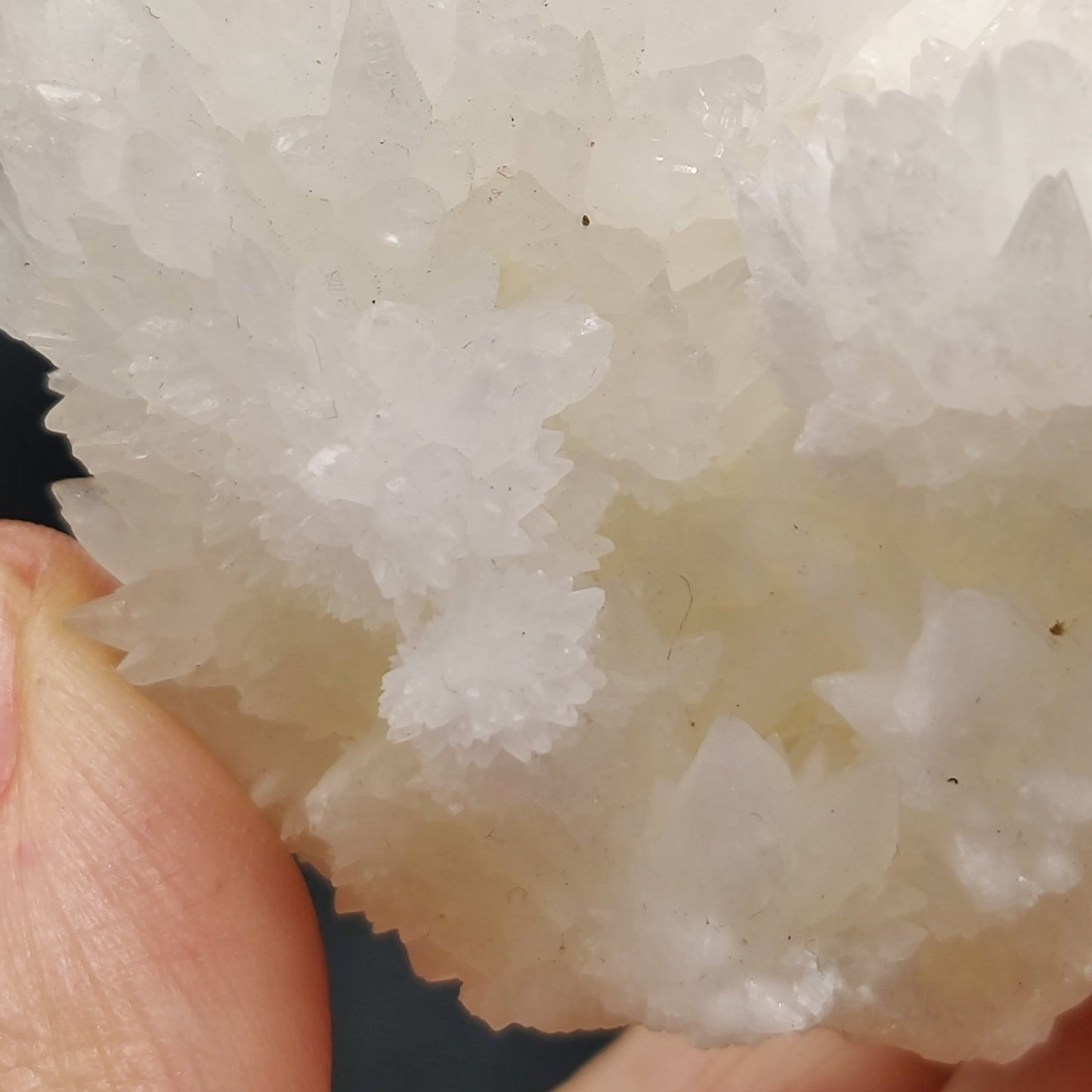 Aragonito coraloide. "Cave calcite"