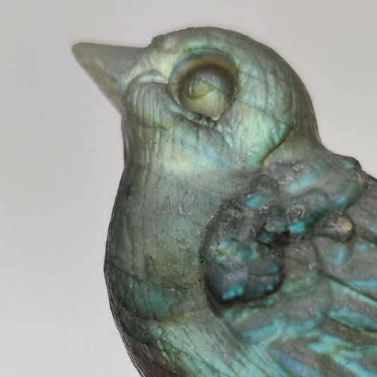 Pajarito de Labradorita