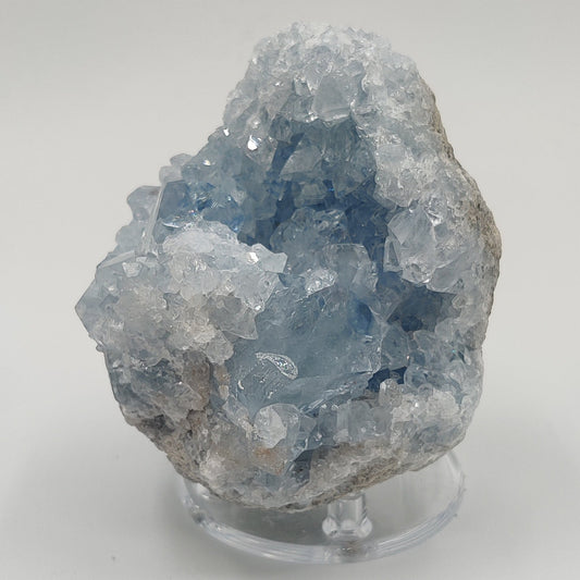 Celestina