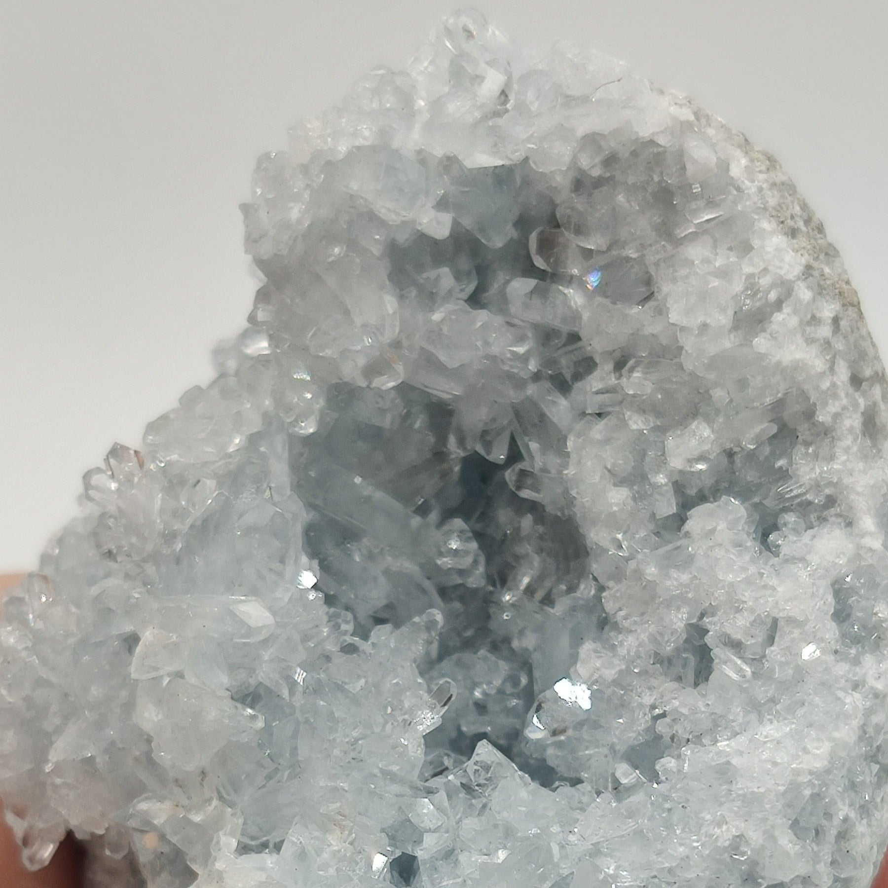 Celestina