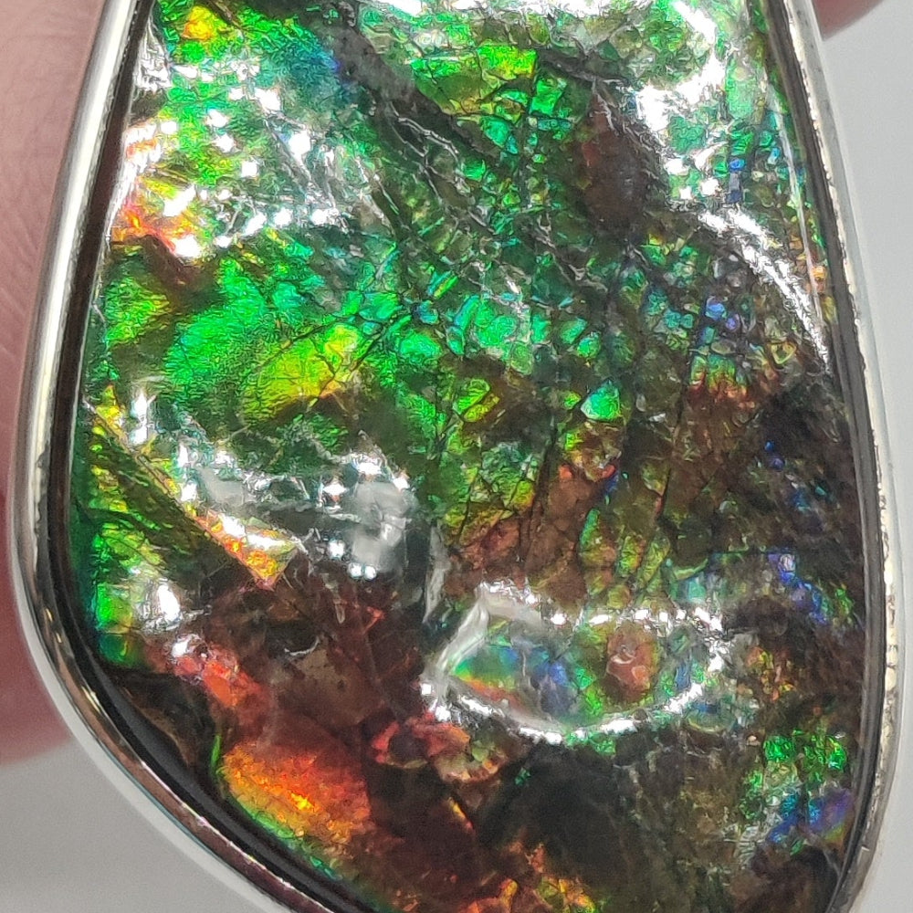 Ammolite colgante