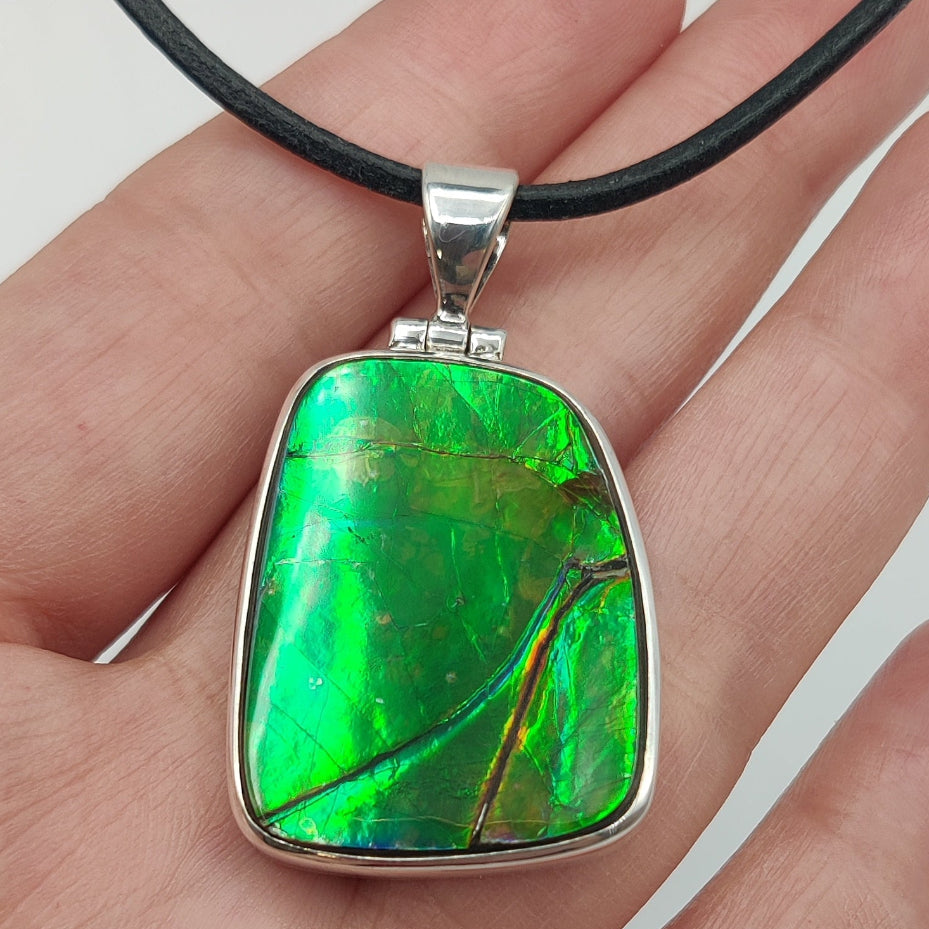 Ammolite colgante