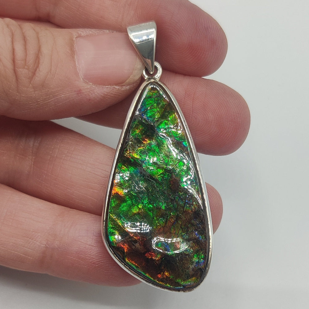 Ammolite colgante