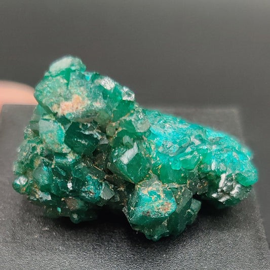 Dioptasa