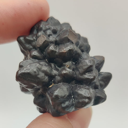Goethita pseudomórfica de marcasita. "Prophecy stone"
