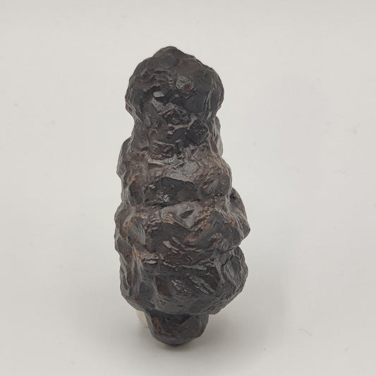 Goethita pseudomórfica de marcasita. "Prophecy stone"