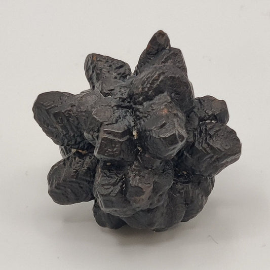 Goethita pseudomórfica de marcasita. "Prophecy stone"
