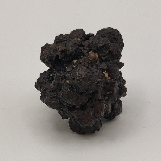 Goethita pseudomórfica de marcasita. "Prophecy stone"