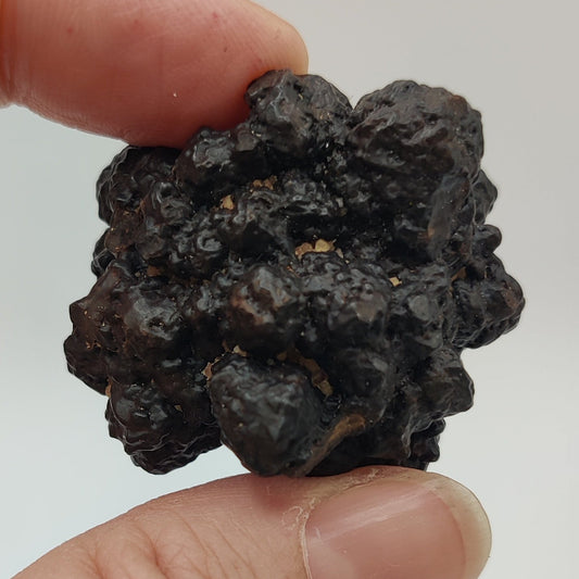 Goethita pseudomórfica de marcasita. "Prophecy stone"