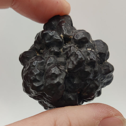 Goethita pseudomórfica de marcasita. "Prophecy stone"