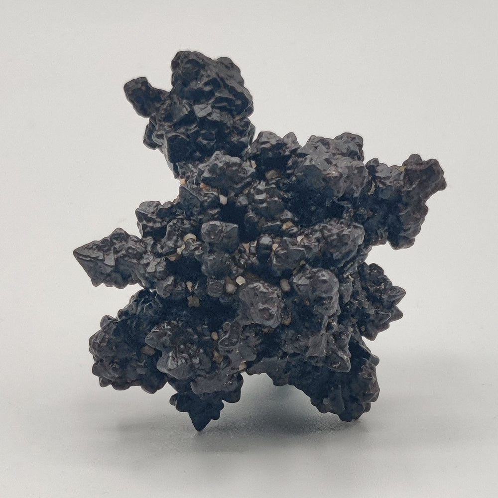 Goethita pseudomórfica de marcasita. "Piedra profecía"