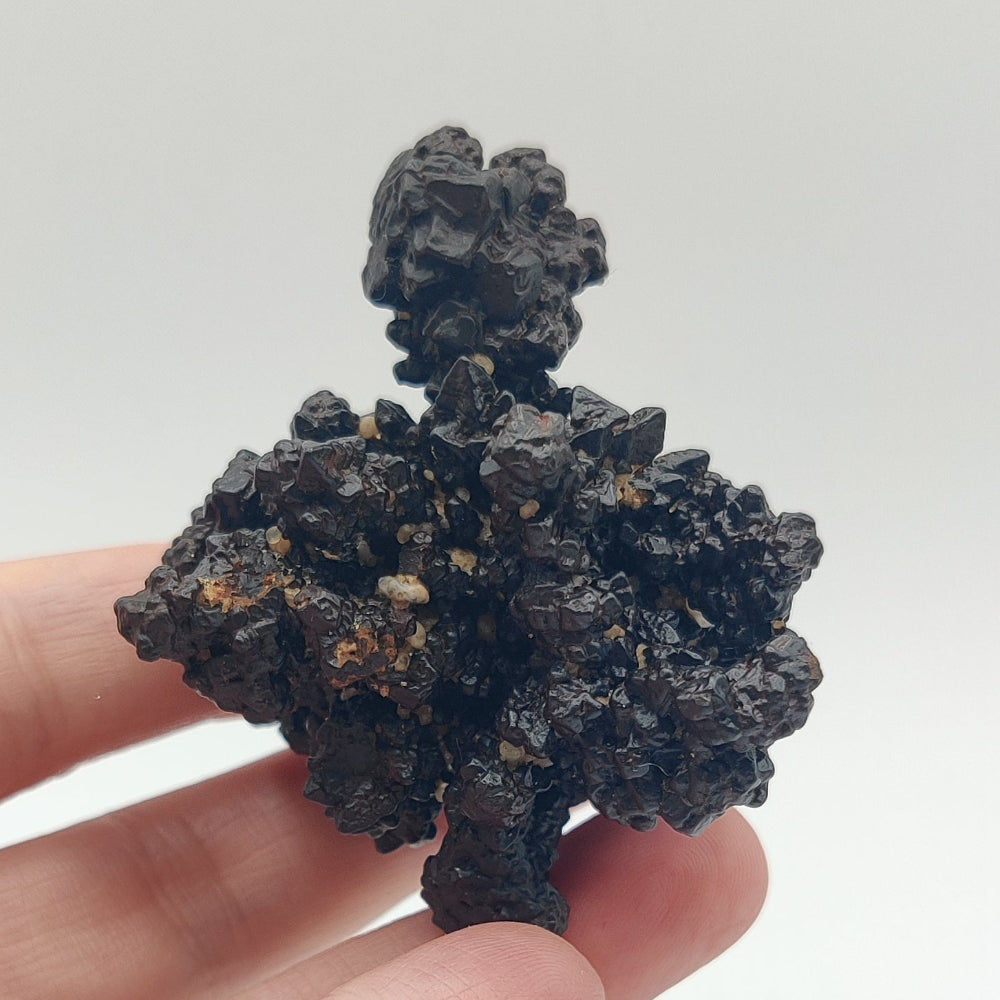 Goethita pseudomórfica de marcasita. "Piedra profecía"