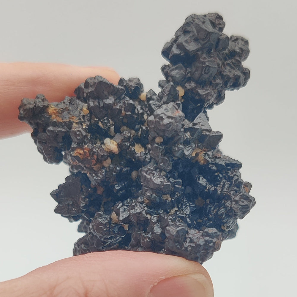 Goethita pseudomórfica de marcasita. "Piedra profecía"