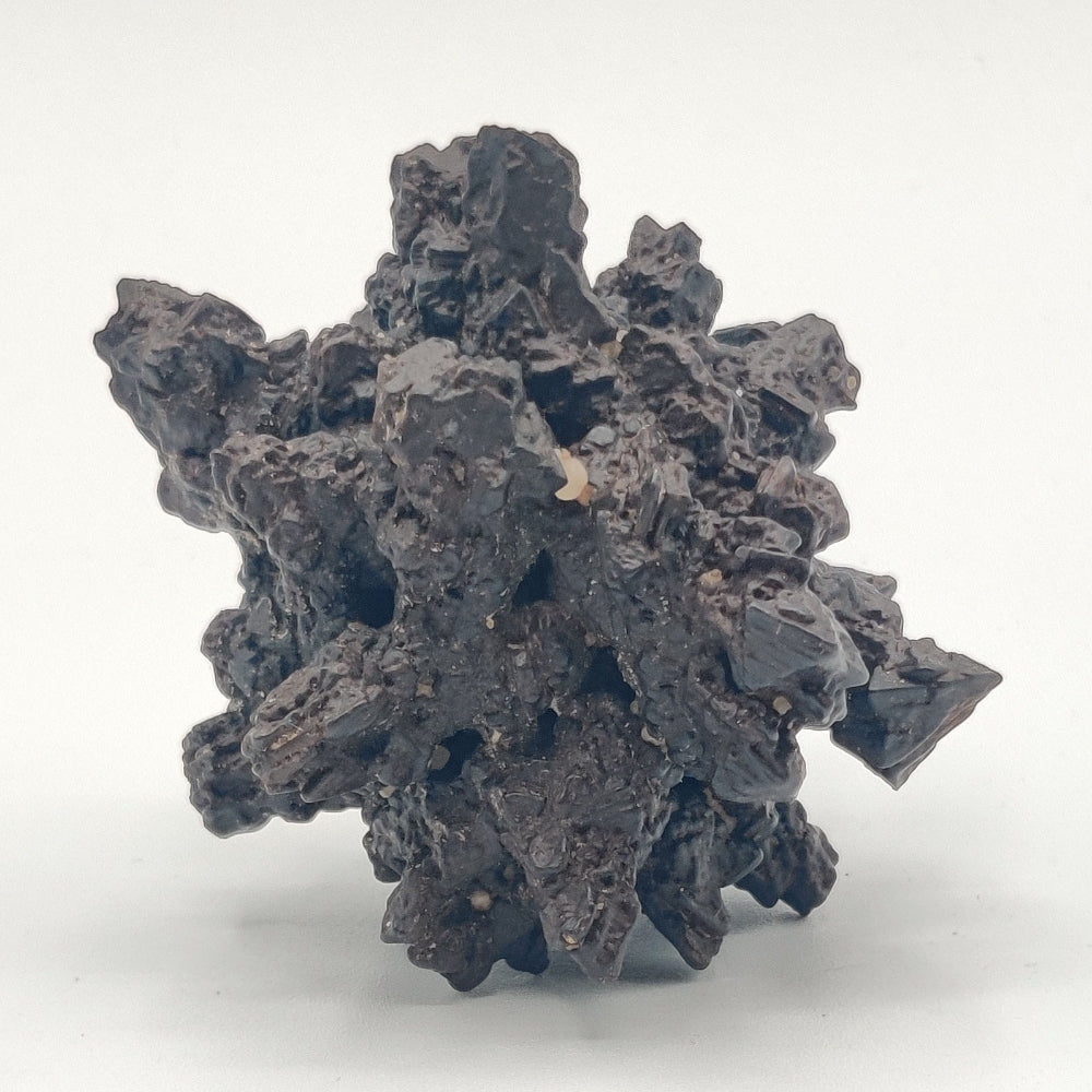 Goethita pseudomórfica de marcasita. "Piedra profecía"